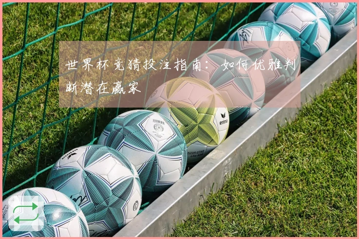 世界杯竞猜投注指南：如何优雅判断潜在赢家