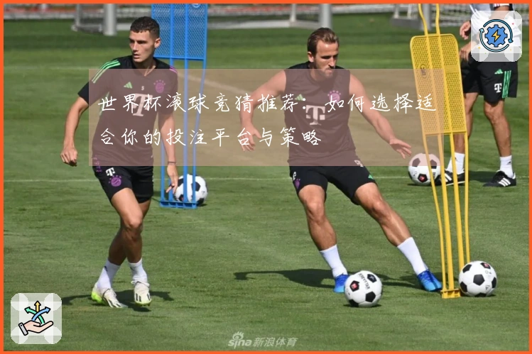 世界杯滚球竞猜推荐：如何选择适合你的投注平台与策略