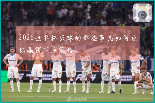 2026世界杯买球的那些事儿如何让你赢得下注策略