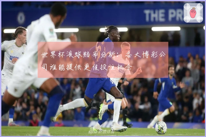 世界杯滚球赔率分析：各大博彩公司谁能提供更佳投注机会