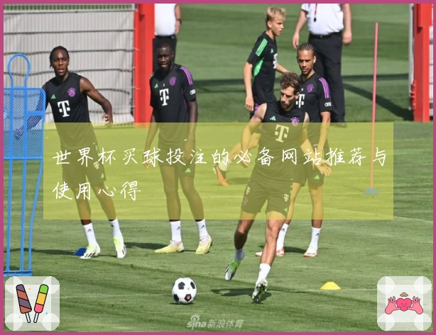 世界杯买球投注的必备网站推荐与使用心得