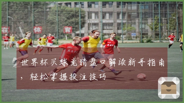 世界杯买球竞猜盘口解读新手指南，轻松掌握投注技巧