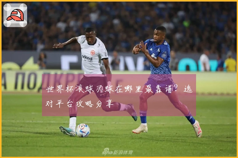 世界杯滚球买球在哪里最靠谱？选对平台攻略分享