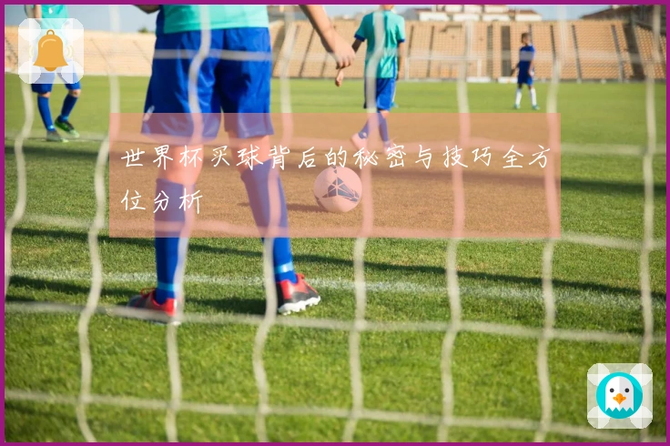 世界杯买球背后的秘密与技巧全方位分析