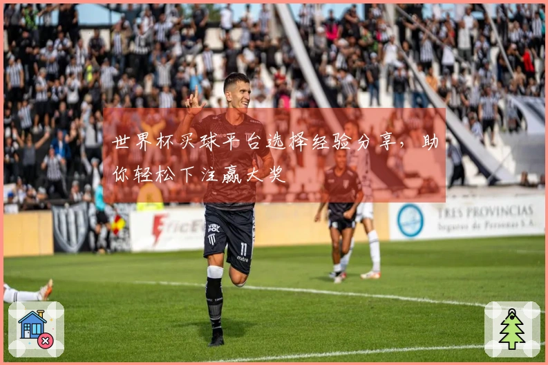 世界杯买球平台选择经验分享，助你轻松下注赢大奖