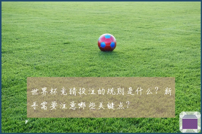 世界杯竞猜投注的规则是什么？新手需要注意哪些关键点？