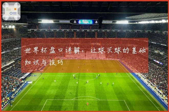 世界杯盘口详解，让球买球的基础知识与技巧