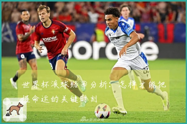 世界杯滚球赔率分析：怎样才能把握命运的关键时刻