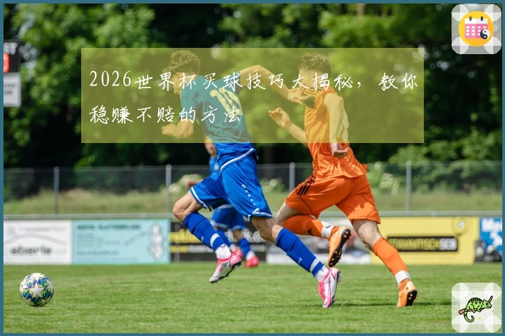 2026世界杯买球技巧大揭秘，教你稳赚不赔的方法