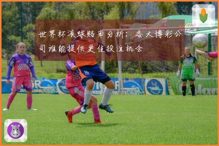 世界杯滚球赔率分析：各大博彩公司谁能提供更佳投注机会