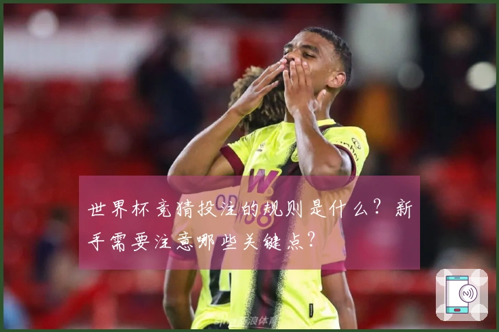 世界杯竞猜投注的规则是什么？新手需要注意哪些关键点？