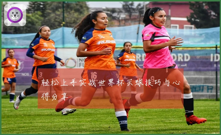 轻松上手实战世界杯买球技巧与心得分享