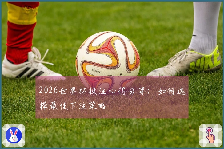 2026世界杯投注心得分享：如何选择最佳下注策略